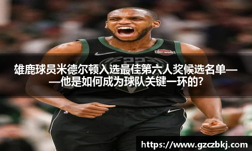 MILE米乐M6平台