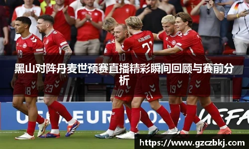 黑山对阵丹麦世预赛直播精彩瞬间回顾与赛前分析